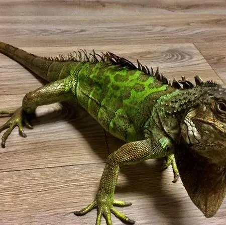 Relax J&l * Pavčina Lehota